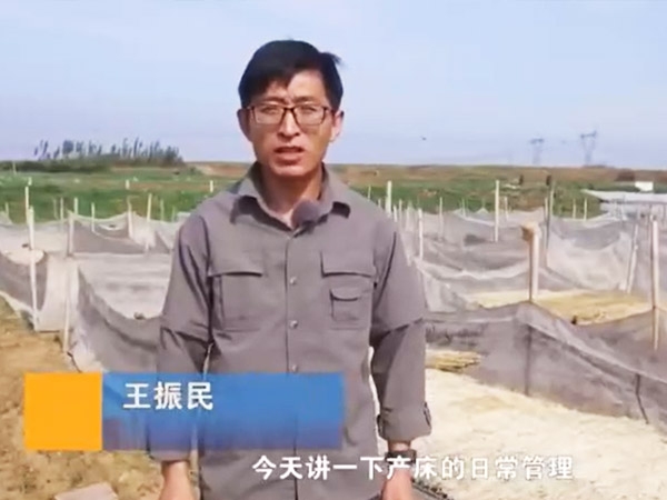 产床一样平常治理