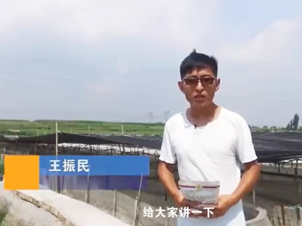 菌种先容-EM菌先容