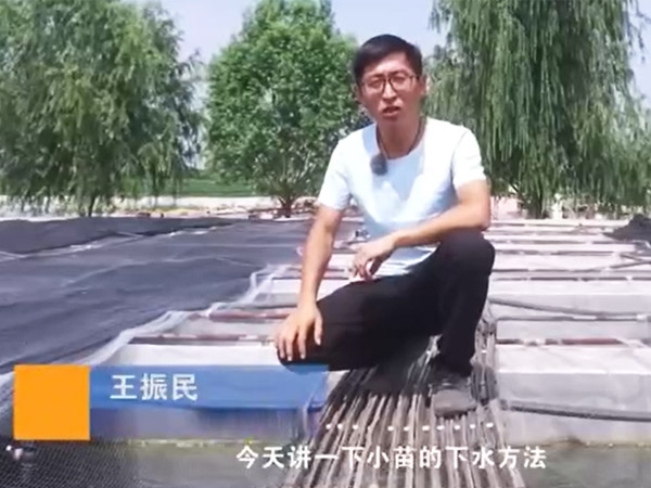 明升官网小苗的下水要领