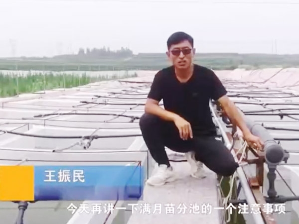 明升官网满月苗的注重事项