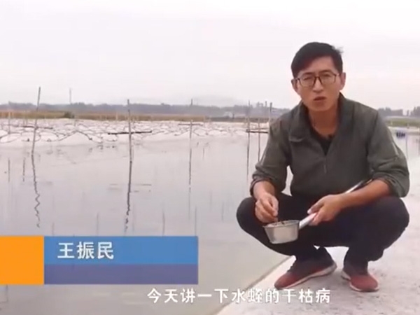 明升官网干枯病爆发涯纪律及防治要领