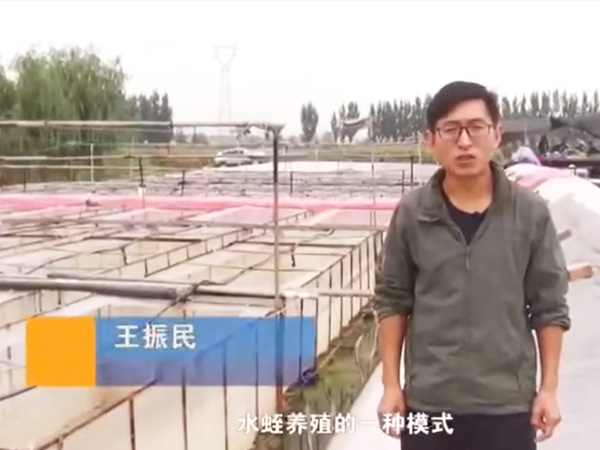 微循环框架系统先容