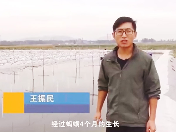 明升官网收获流程