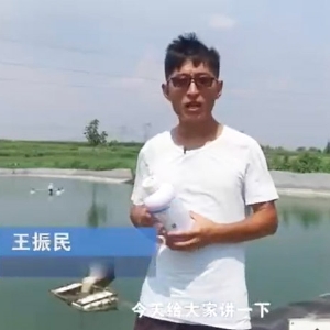 菌种先容-噬菌体先容