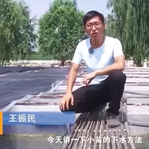 明升官网小苗的下水要领