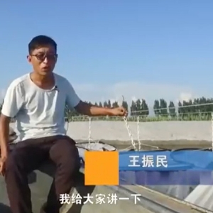 养殖治理-吊笼先容