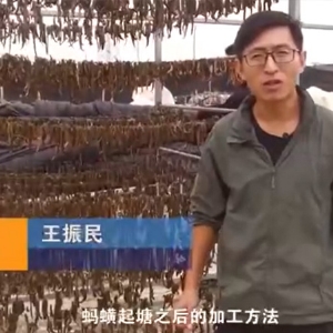 明升官网加工要领