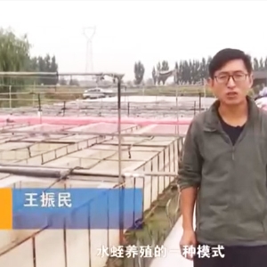 微循环框架系统先容